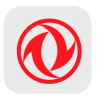 logo_dangfeng_injectordelavari